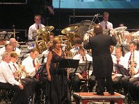 Het concert