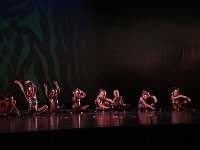 starlights 16
