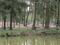 2012-04-21 001 2012-04-21 034