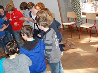 DSC 0564 (Kopie)