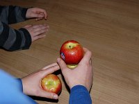 DSC 0598 (Kopie)