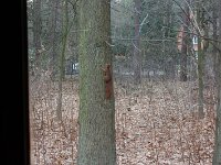 DSC 0687 (Kopie)