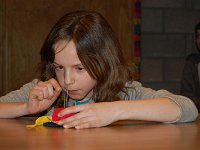DSC 0723 (Kopie)