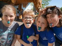 2015 Uitstap Efteling