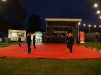 2018bruistP9160660 20180114