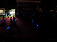2018bruistP9160795 20180114