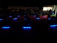 2018bruistP9160796 20180114