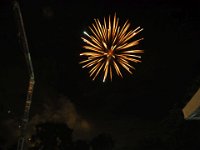 2018bruistP9160896 20180114
