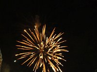 2018bruistP9160901 20180114