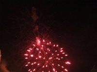 2018bruistP9160902 20180114
