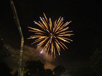 2018bruistP9160920 20180114