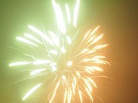 2018bruistP9160933 20180114