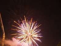 2018bruistP9160935 20180114