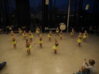 2017 krokusP3041030