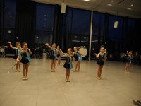 2017 krokusP3041056