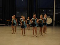 2017 krokusP3041072