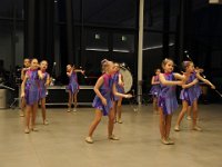 2017 krokusP3041103