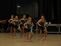 2017 krokusP3041122