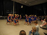 2017 krokusP3041171