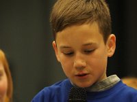 2017 krokusP3041378