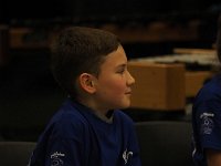 2017 krokusP3041431