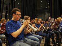 2017 krokusP3041485